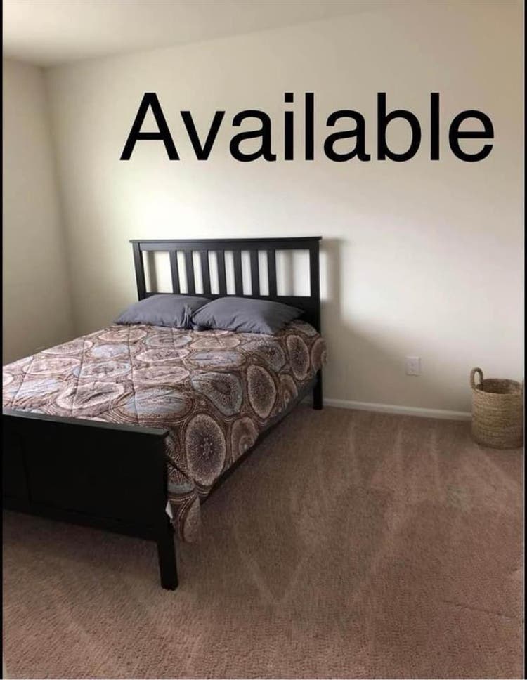 Room Rental Available!