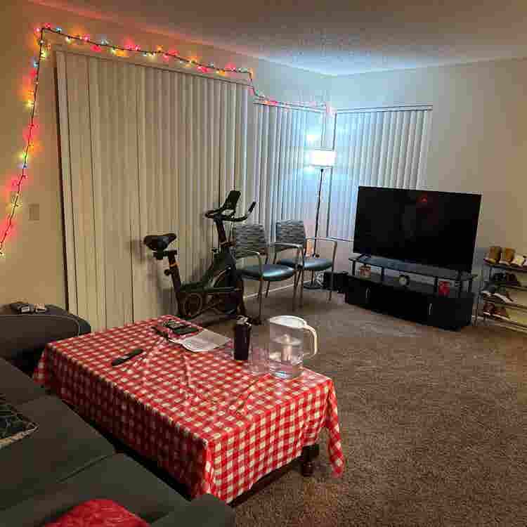 Looking for a Roommate