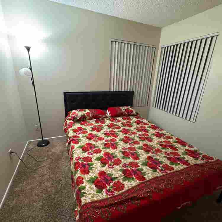 Looking for a Roommate