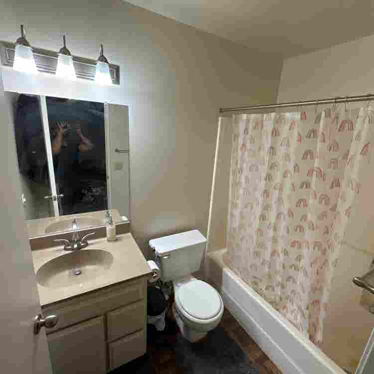 Looking for a Roommate