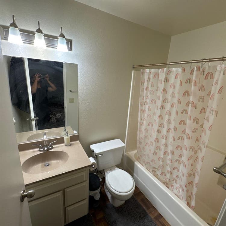 Looking for a Roommate