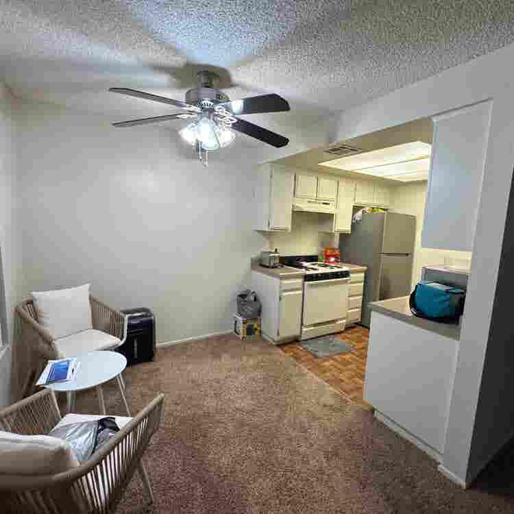 Looking for a Roommate