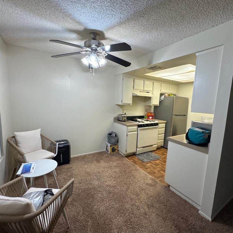 Looking for a Roommate