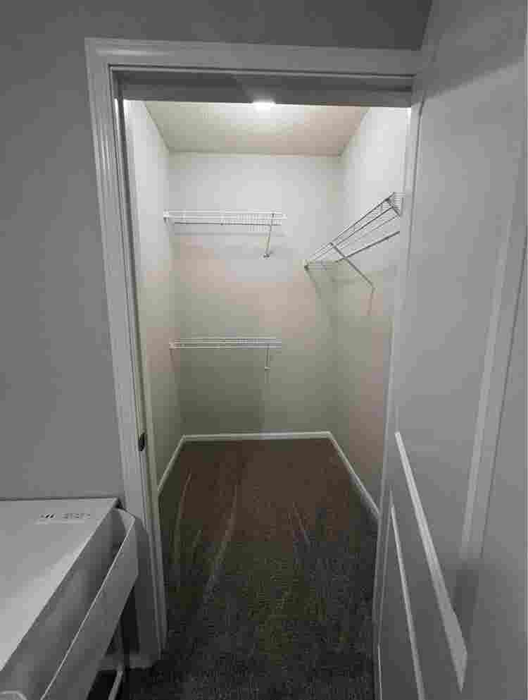 In search of female roommate