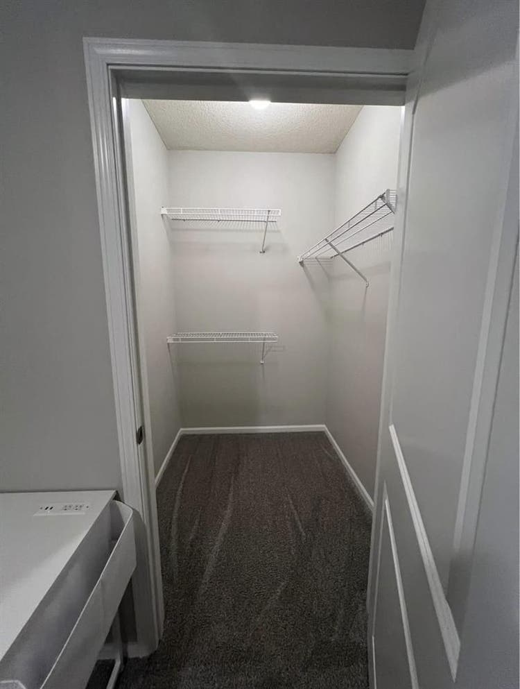 In search of female roommate