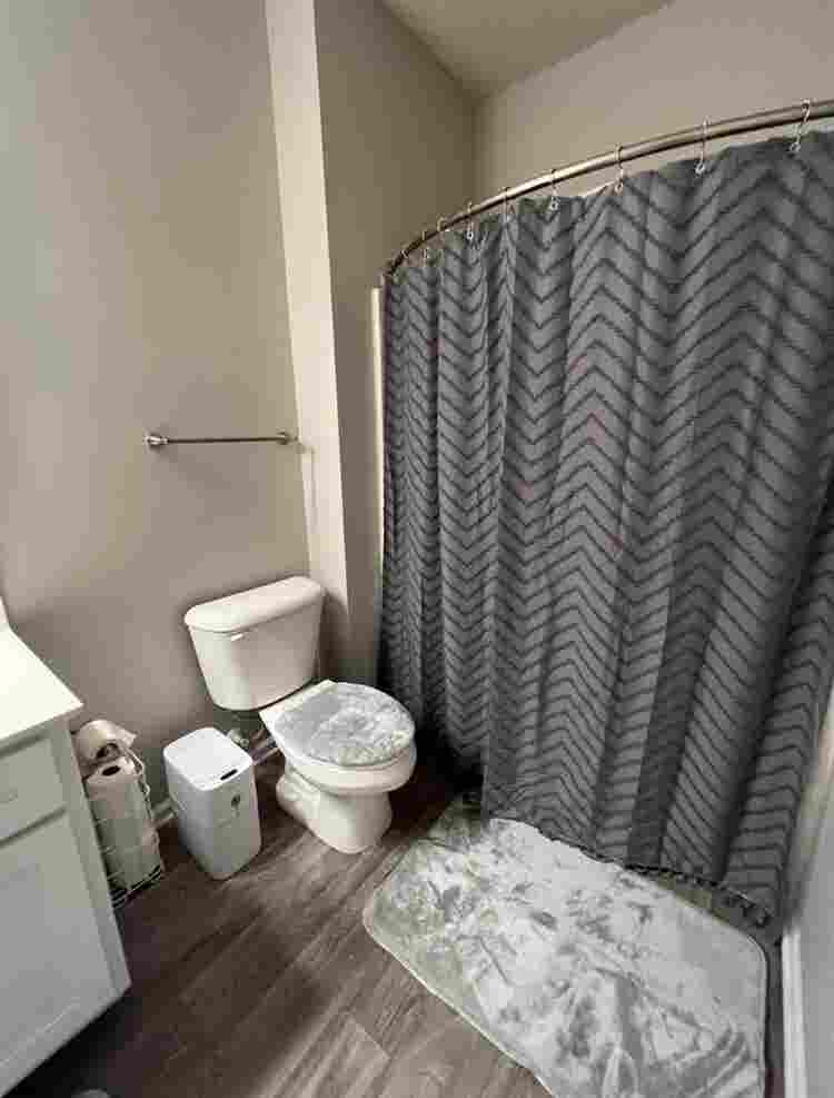 In search of female roommate