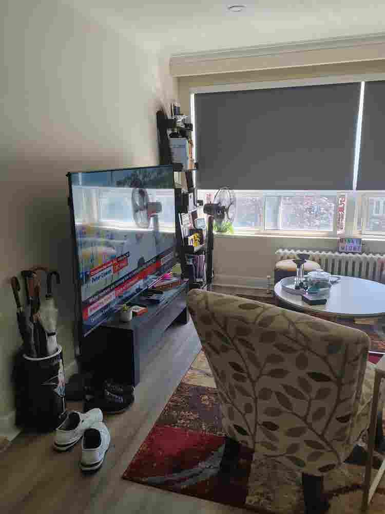 Large Bedroom in 2 Bdrm Apt - Oct 1