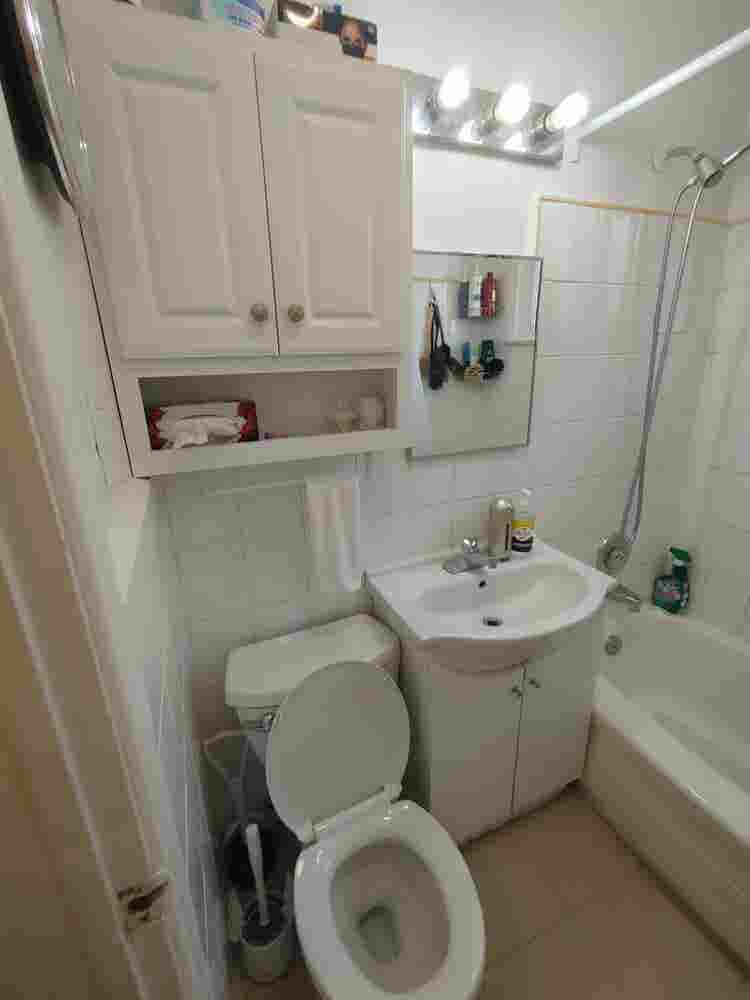 Large Bedroom in 2 Bdrm Apt - Oct 1