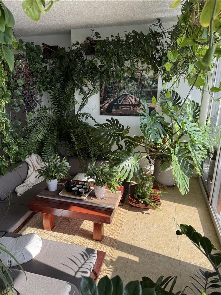 Gorgeous room with a great view