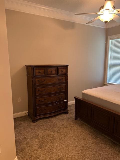 Furnished room in Orange Park, FL.