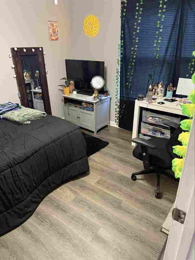 Room for rent ITP no kids or pets