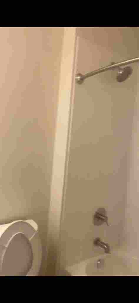 Roommate needed female