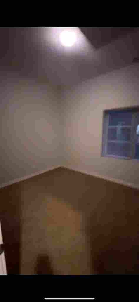 In search of a roommate