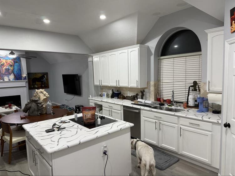 Looking for a good roommate
