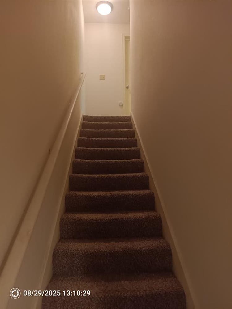 The room you didn't know you need.
