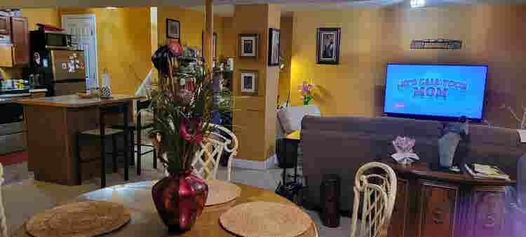 Furnished One Bedroom Apartment