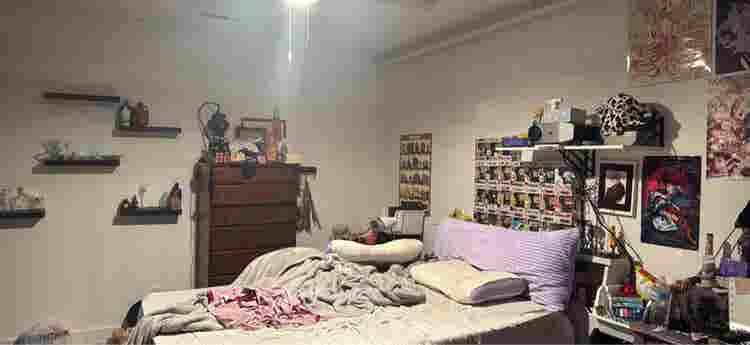 Roommate needed for loft apartment