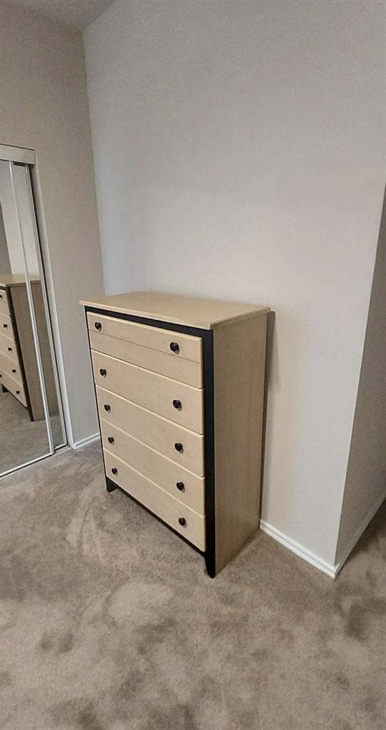Private Room For Rent Near USF $