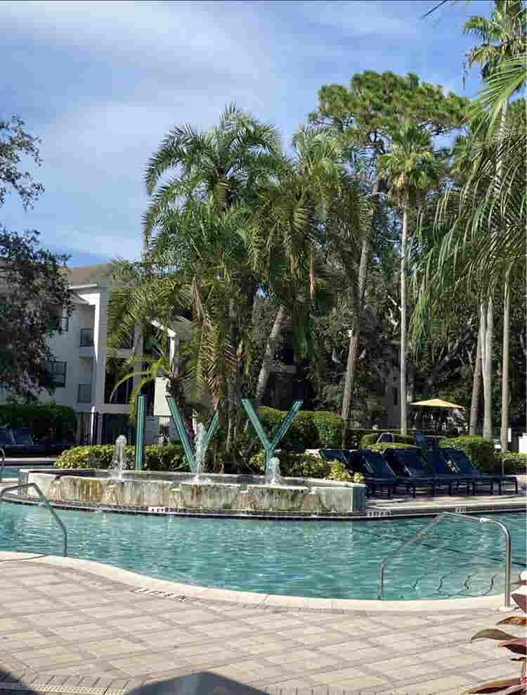 Private Room For Rent Near USF $