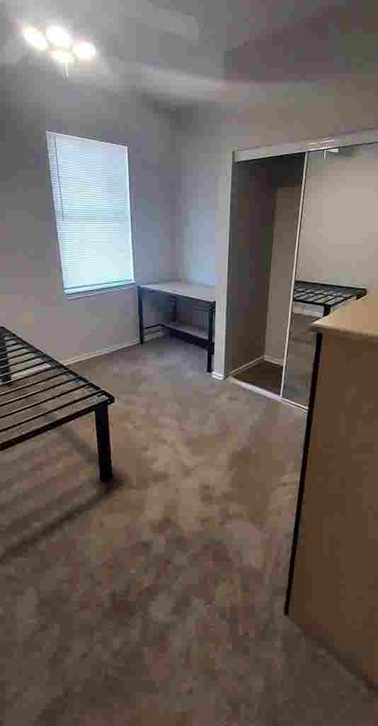 Private Room For Rent Near USF $