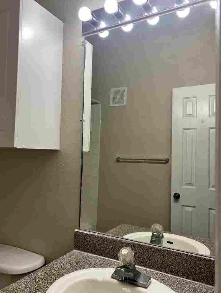Private Room For Rent Near USF $