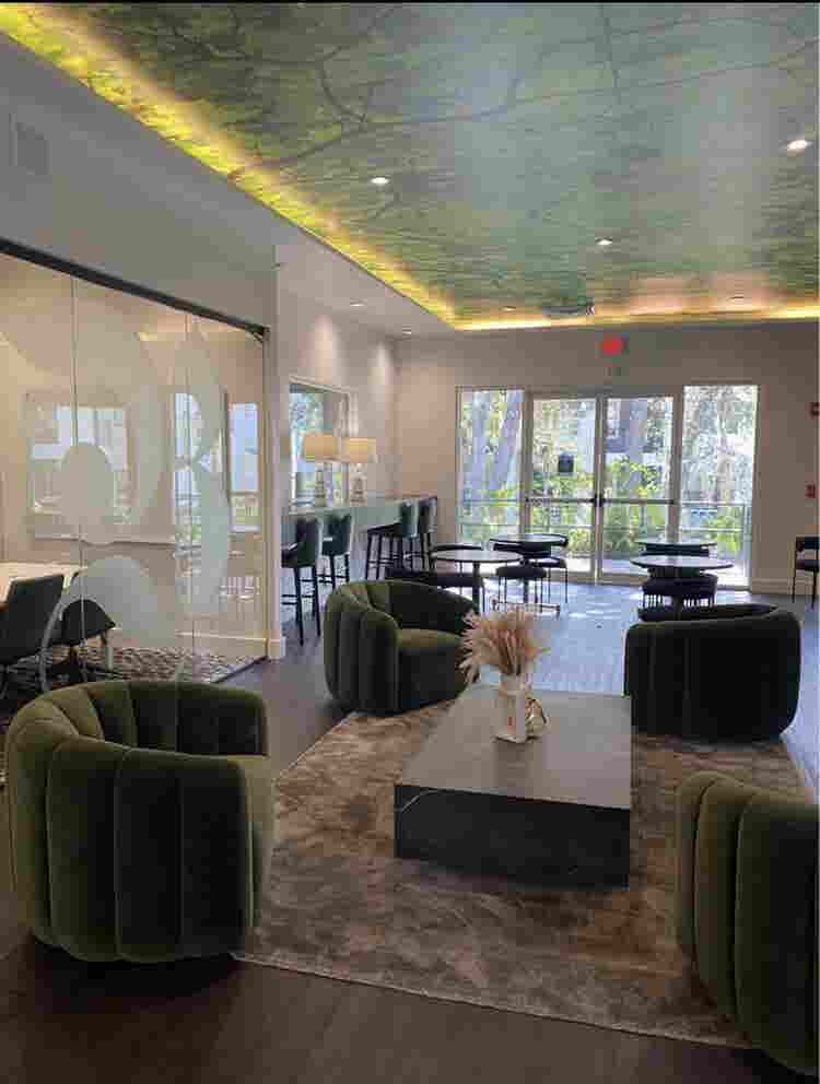 Private Room For Rent Near USF $