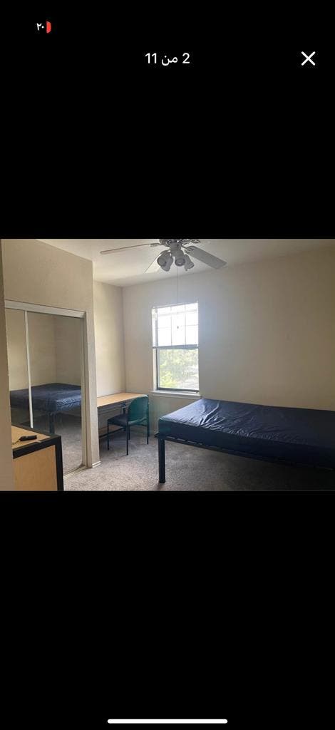 Private Room For Rent Near USF $