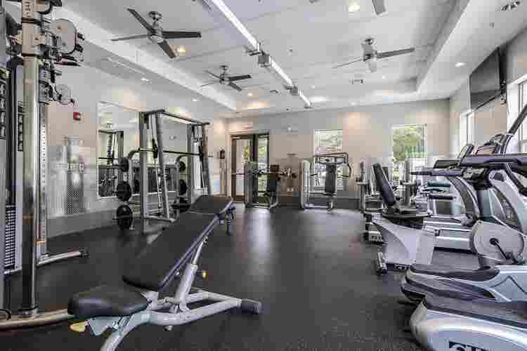 Subleasing Studio