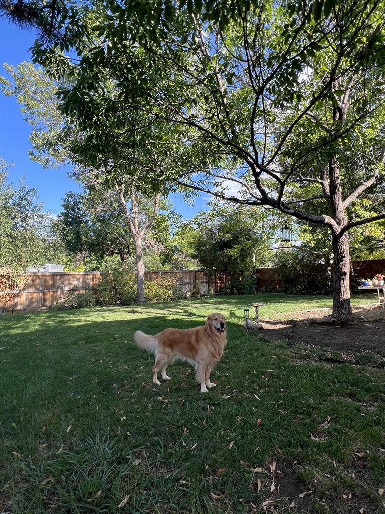 Cozy Private Rooms in Spacious Home