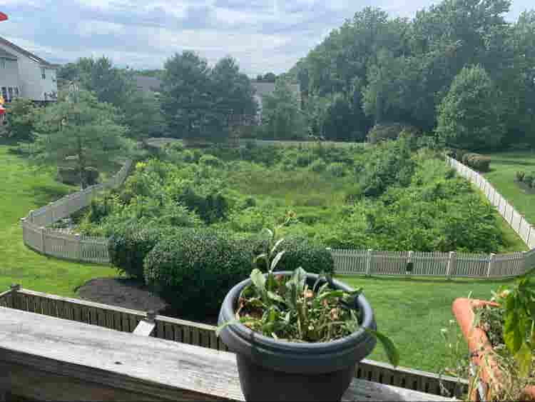 Quiet home in safe neighborhood