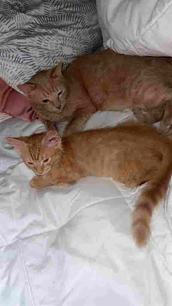 Burbank/Universal Studios 4students