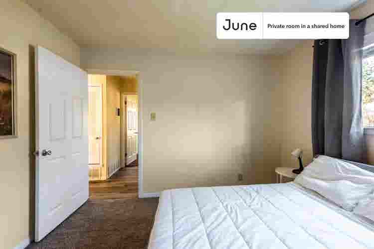 4 BR in Austin