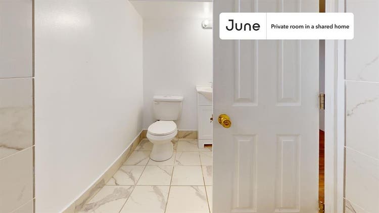 7 BR in Washington DC