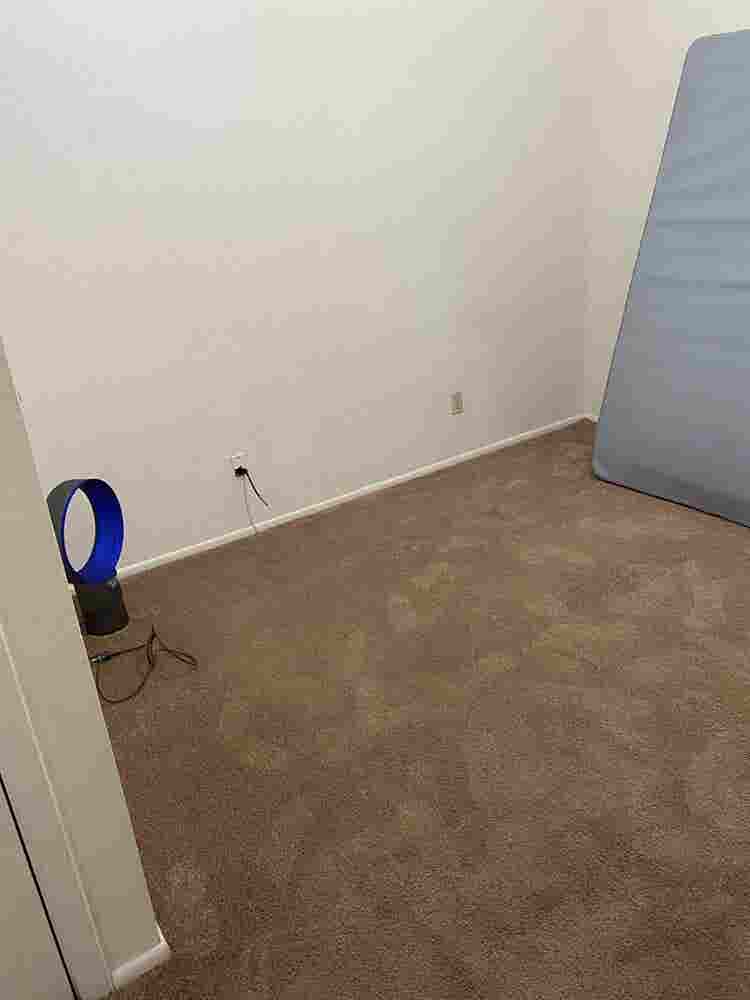 Tempe Lake Townhome Female Roomie