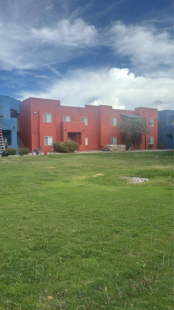 Looking for a roommate