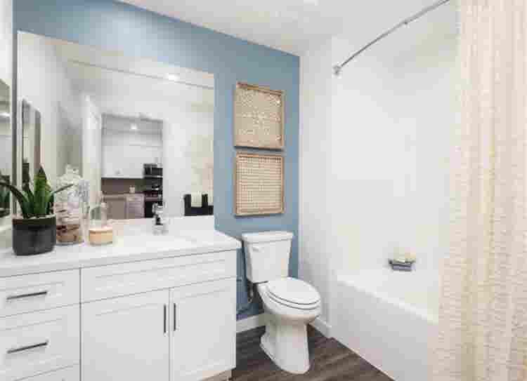 Room for rent for college students