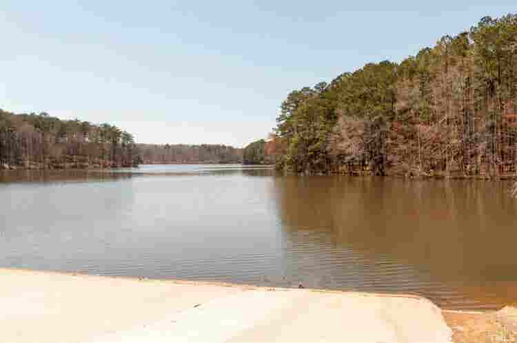 4 BR in Raleigh