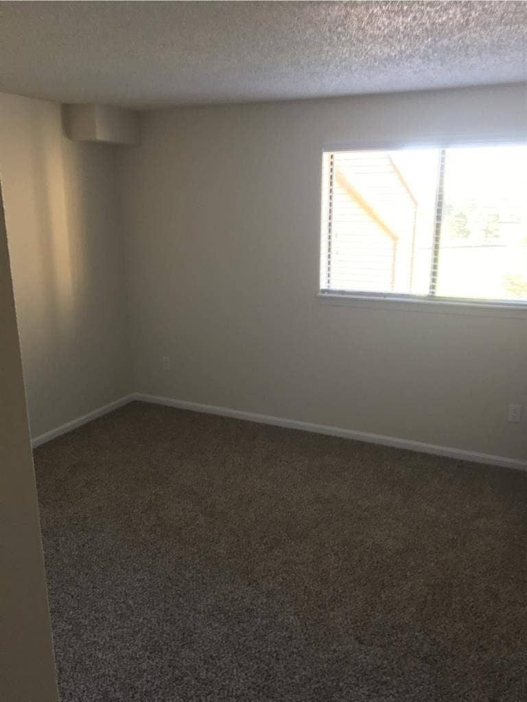 Clean, pet-friendly, own bathroom!