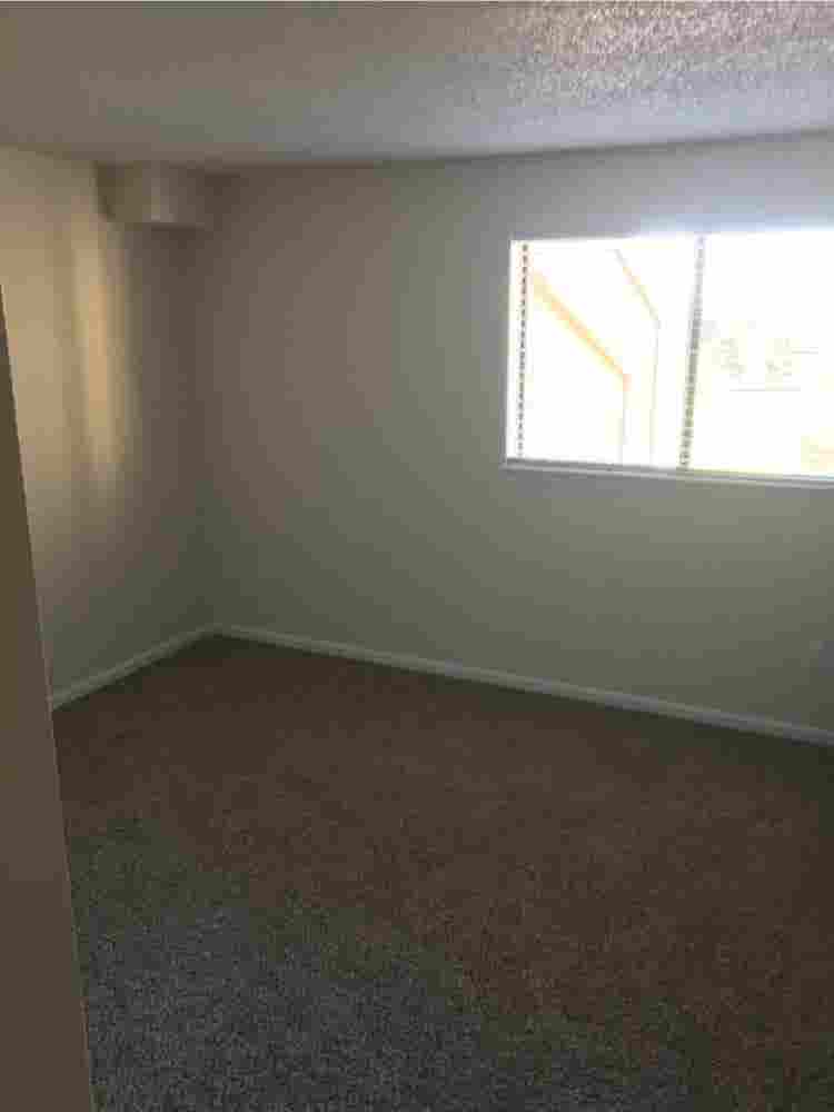 Clean, pet-friendly, own bathroom!