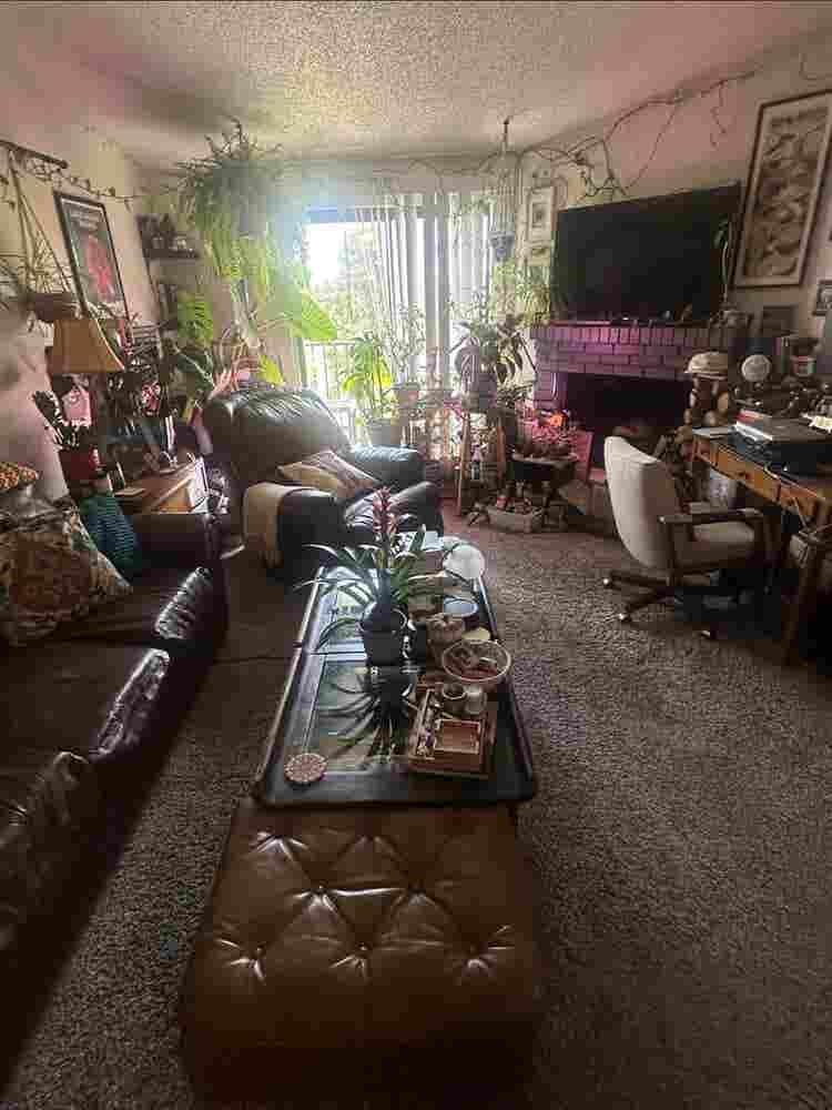 Clean, pet-friendly, own bathroom!