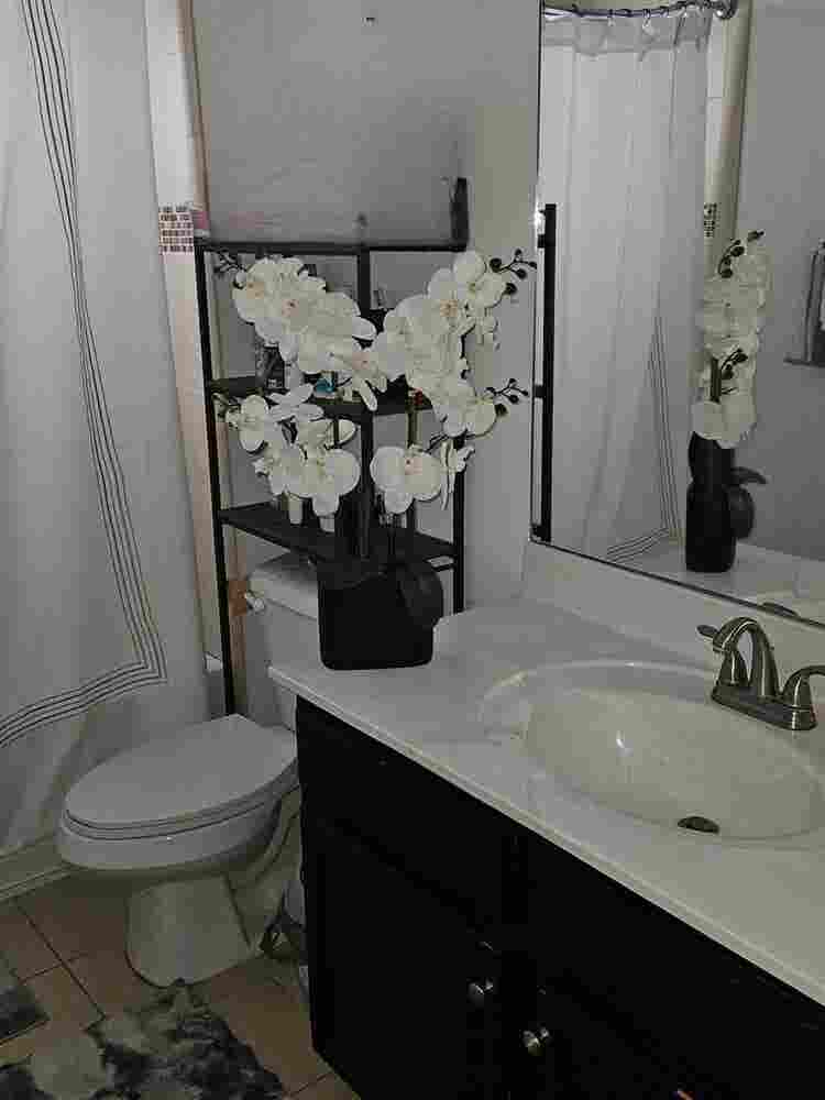 Beautiful room for rent