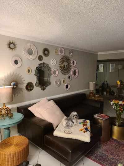 Roomies Plantation