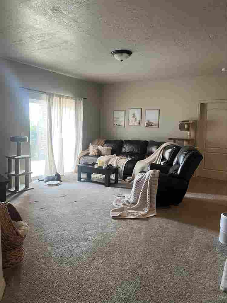 Room available - Females only
