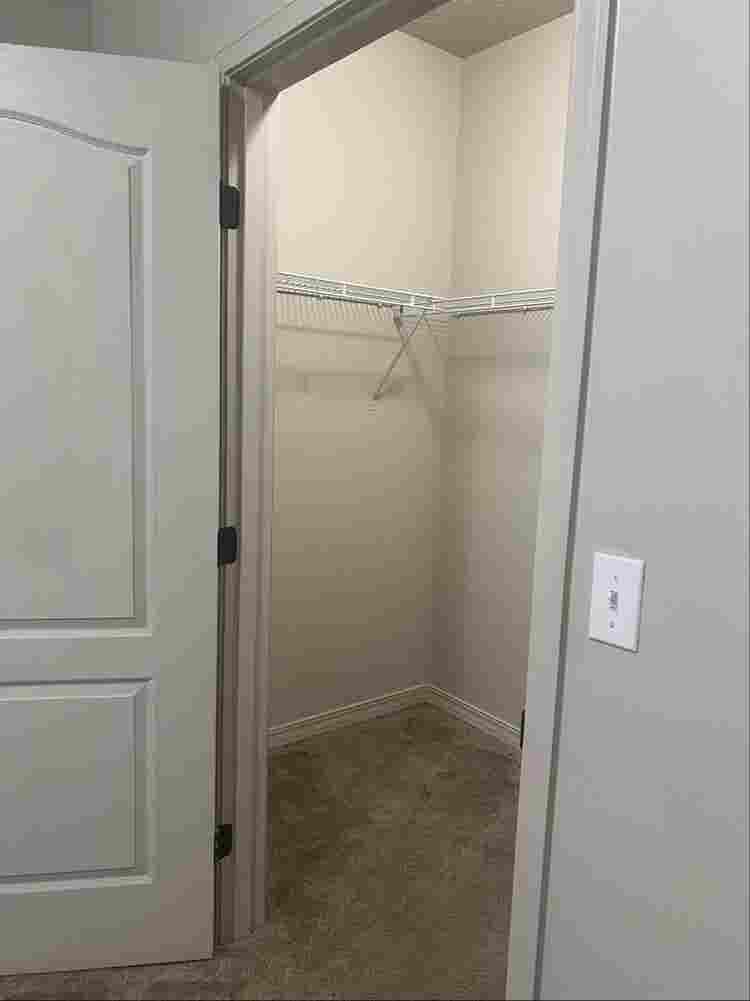 Room available - Females only