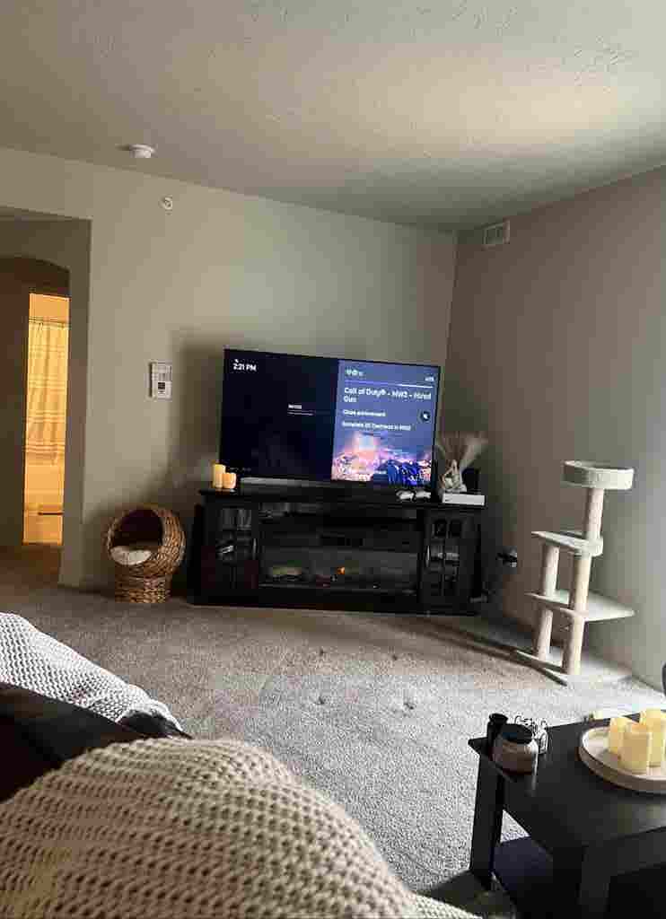 Room available - Females only