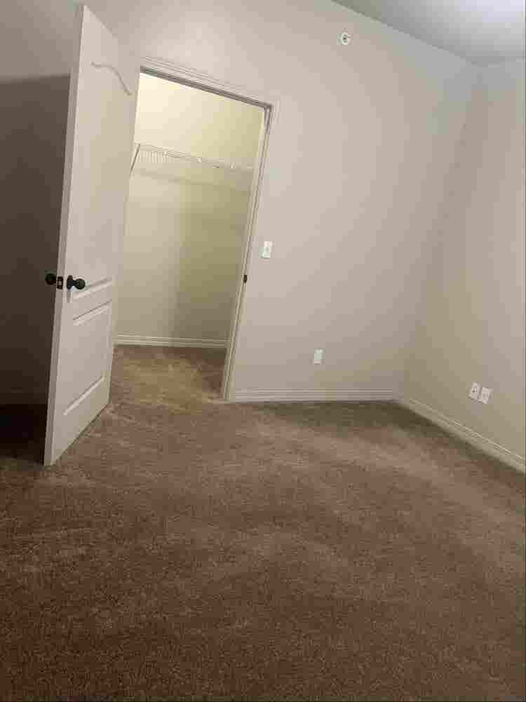 Room available - Females only