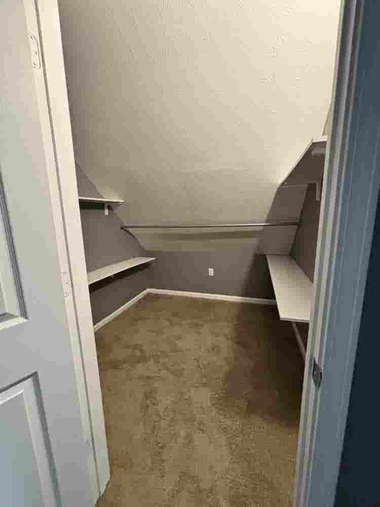 Roommate in Ohio City