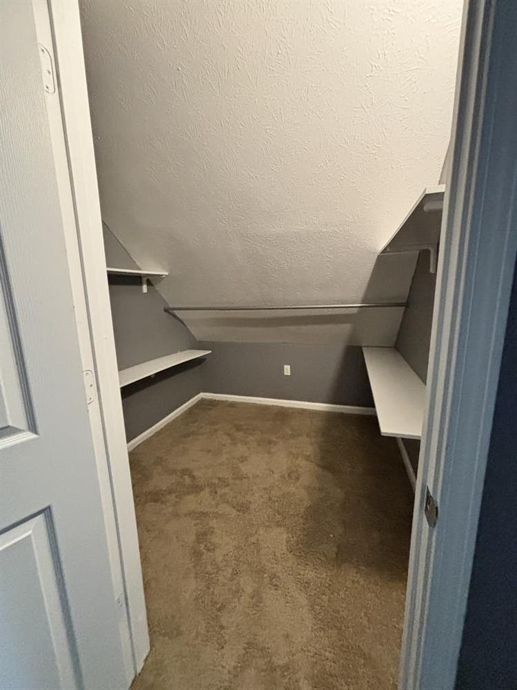 Roommate in Ohio City