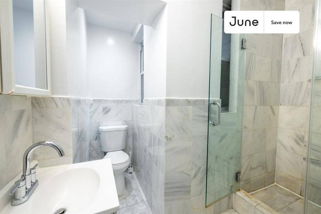 1 BR in New York City