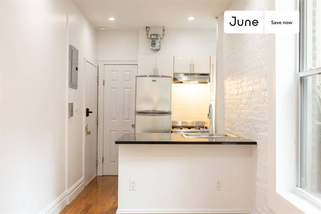 1 BR in New York City
